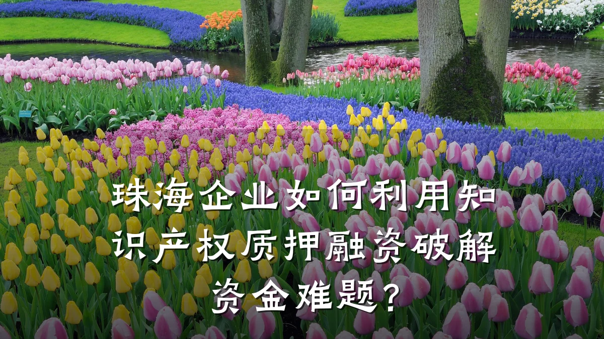 珠海企业如何利用知识产权质押融资破解资金难题？