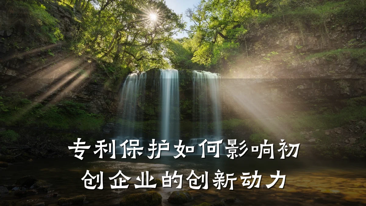 专利保护如何影响初创企业的创新动力
