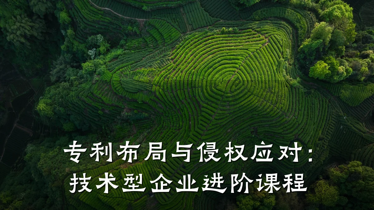 专利布局与侵权应对：技术型企业进阶课程