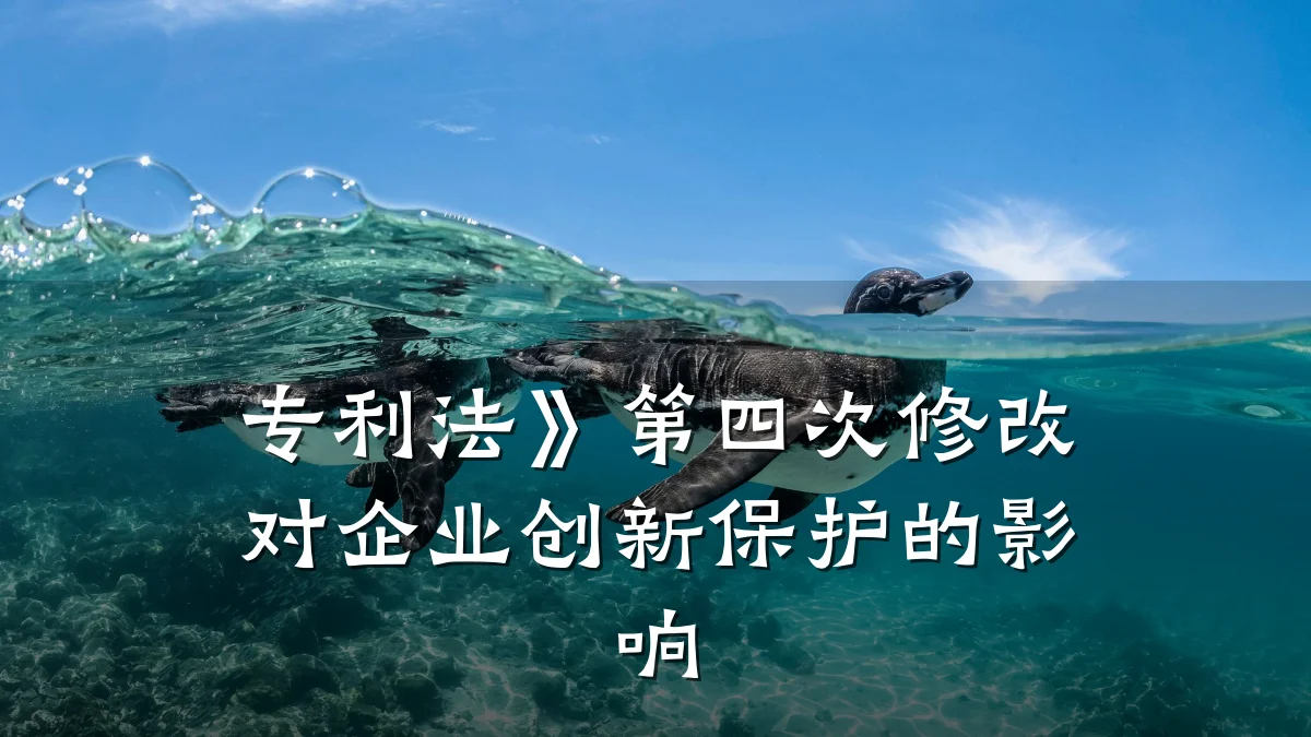 专利法》第四次修改对企业创新保护的影响