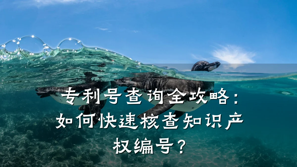 专利号查询全攻略：如何快速核查知识产权编号？