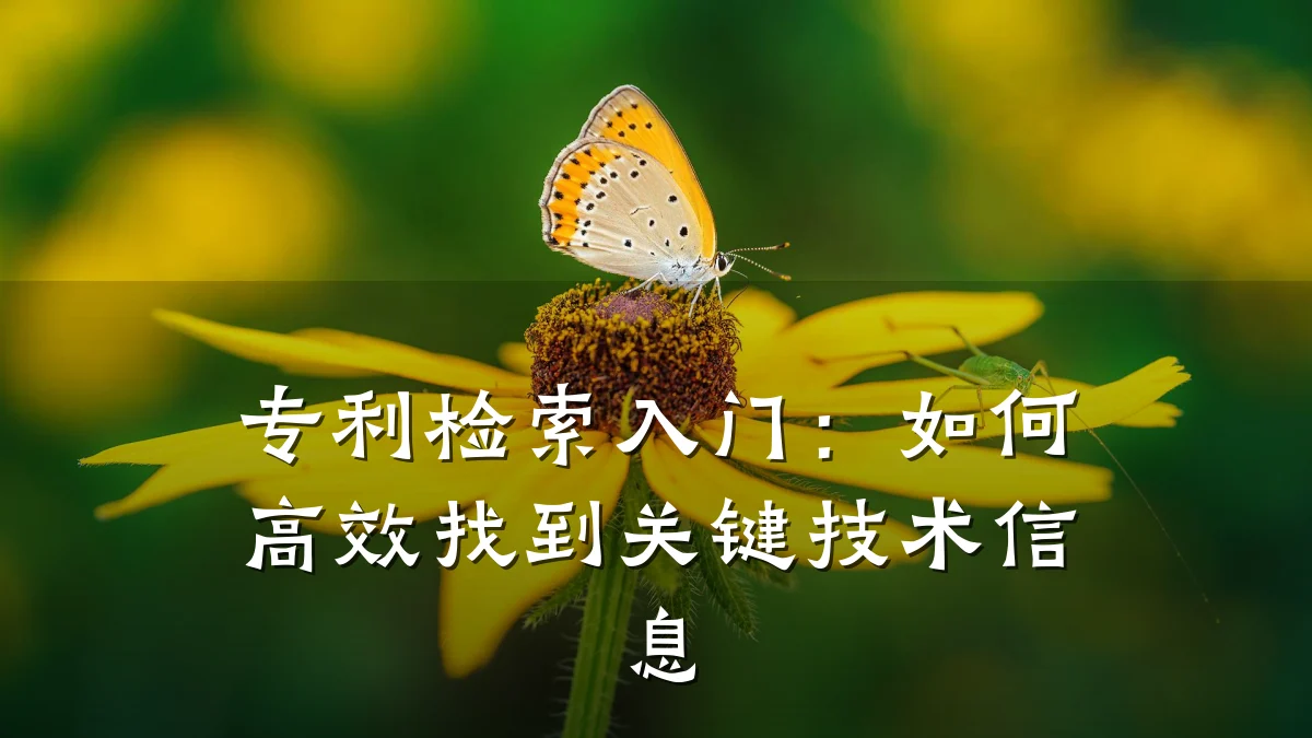 专利检索入门：如何高效找到关键技术信息