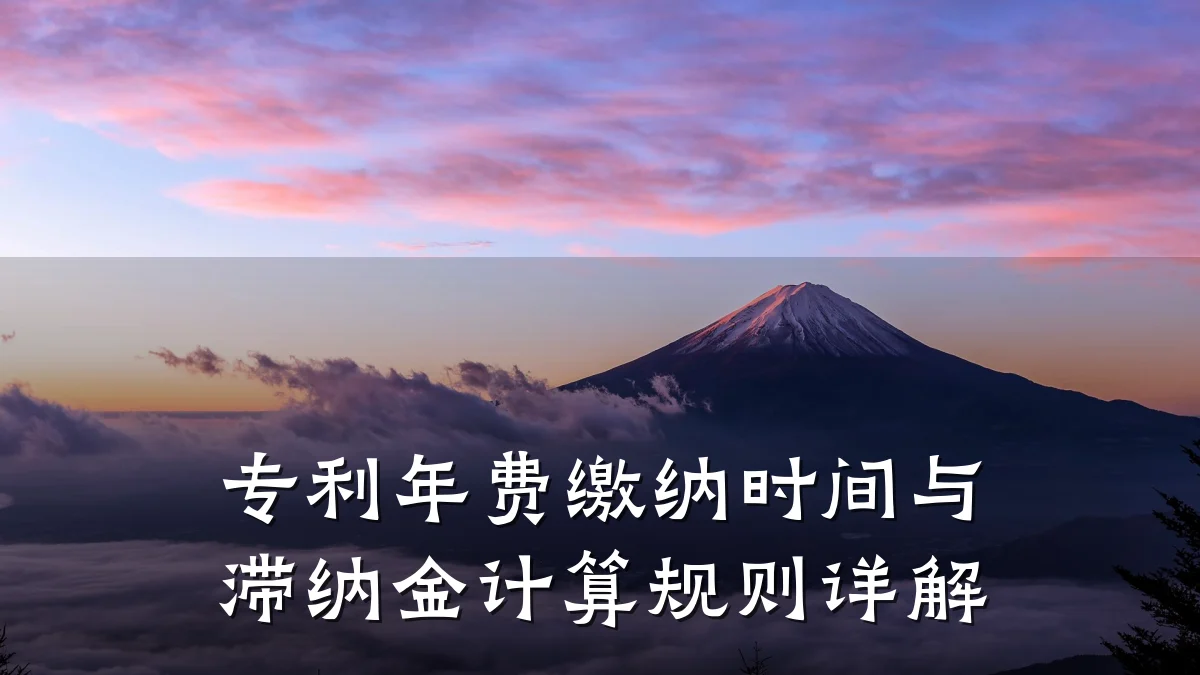 专利年费缴纳时间与滞纳金计算规则详解