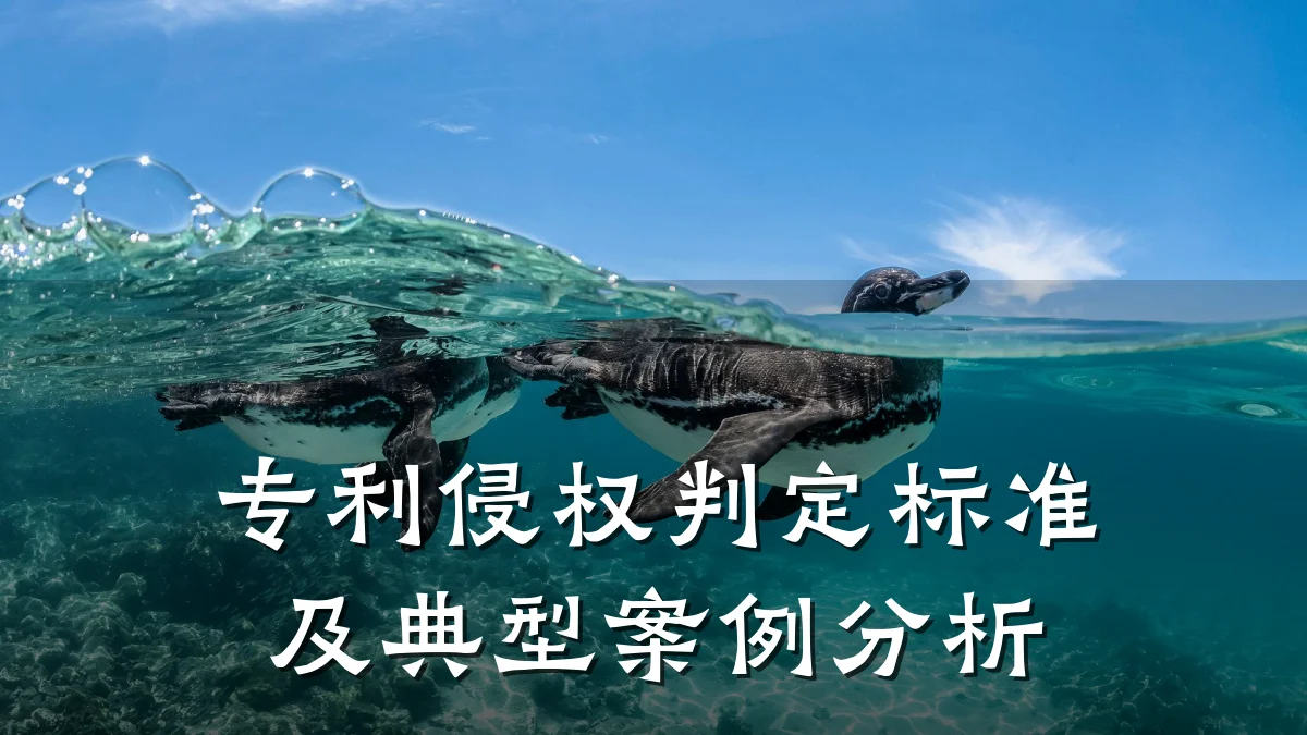 专利侵权判定标准及典型案例分析