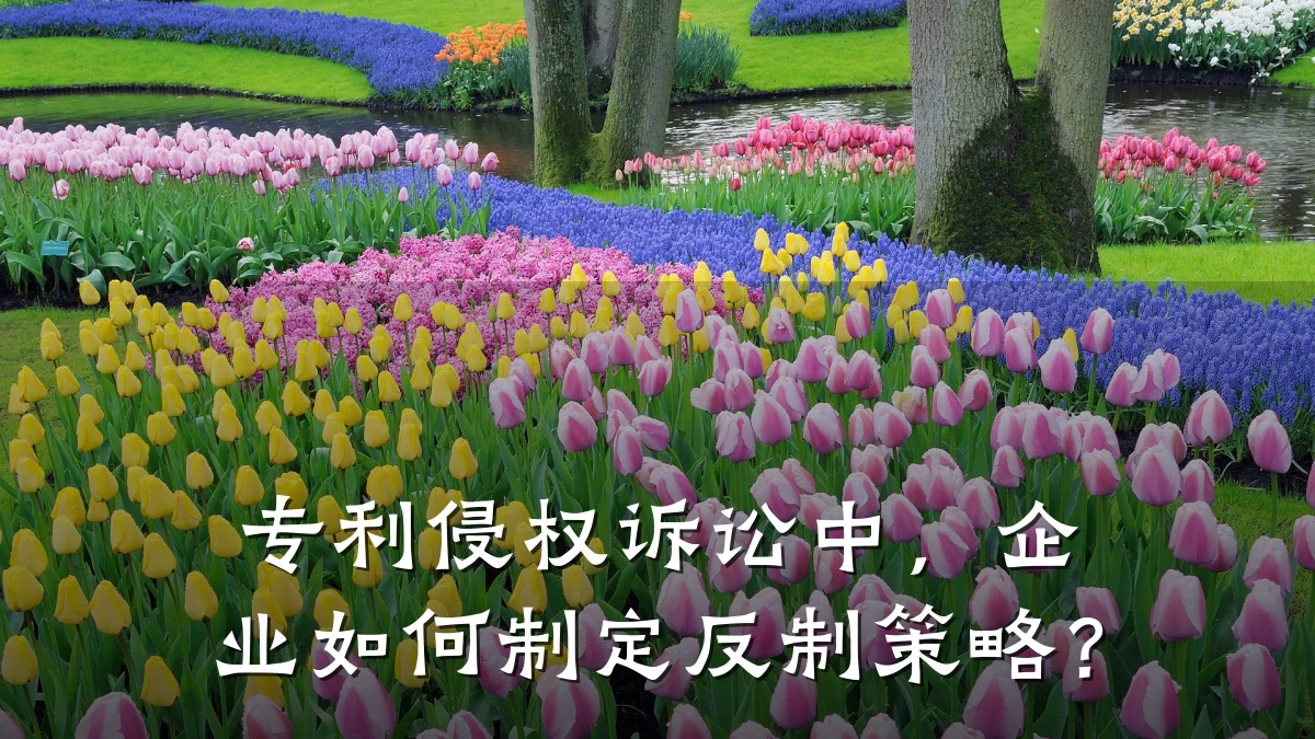 专利侵权诉讼中，企业如何制定反制策略？