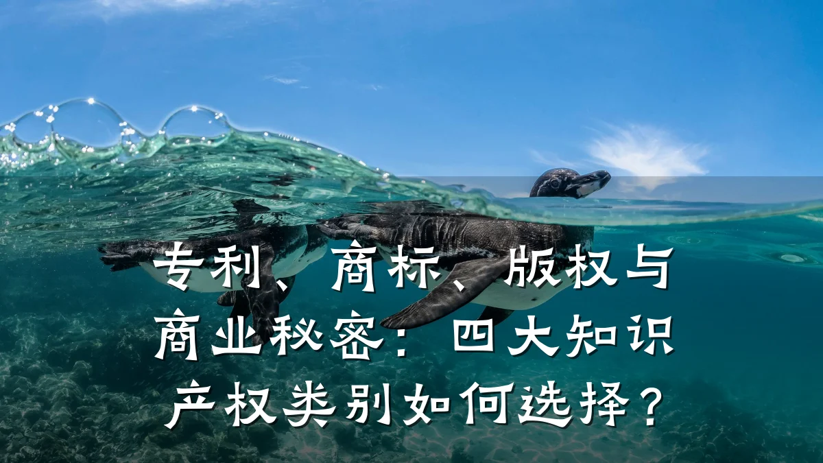 专利、商标、版权与商业秘密：四大知识产权类别如何选择？