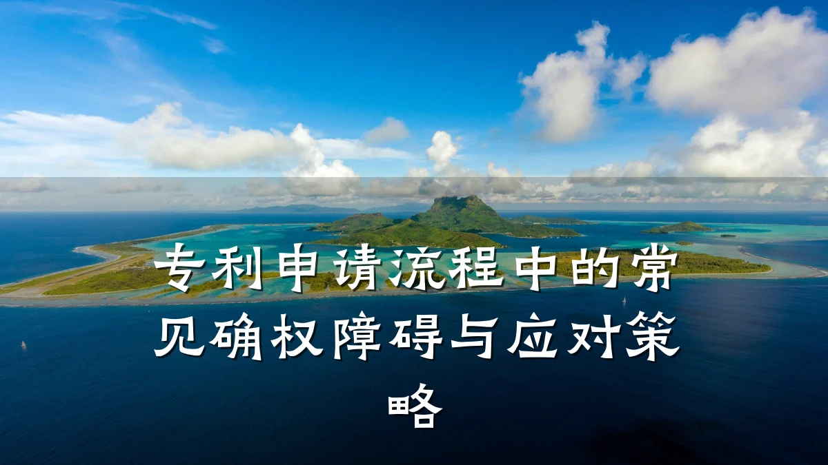 专利申请流程中的常见确权障碍与应对策略