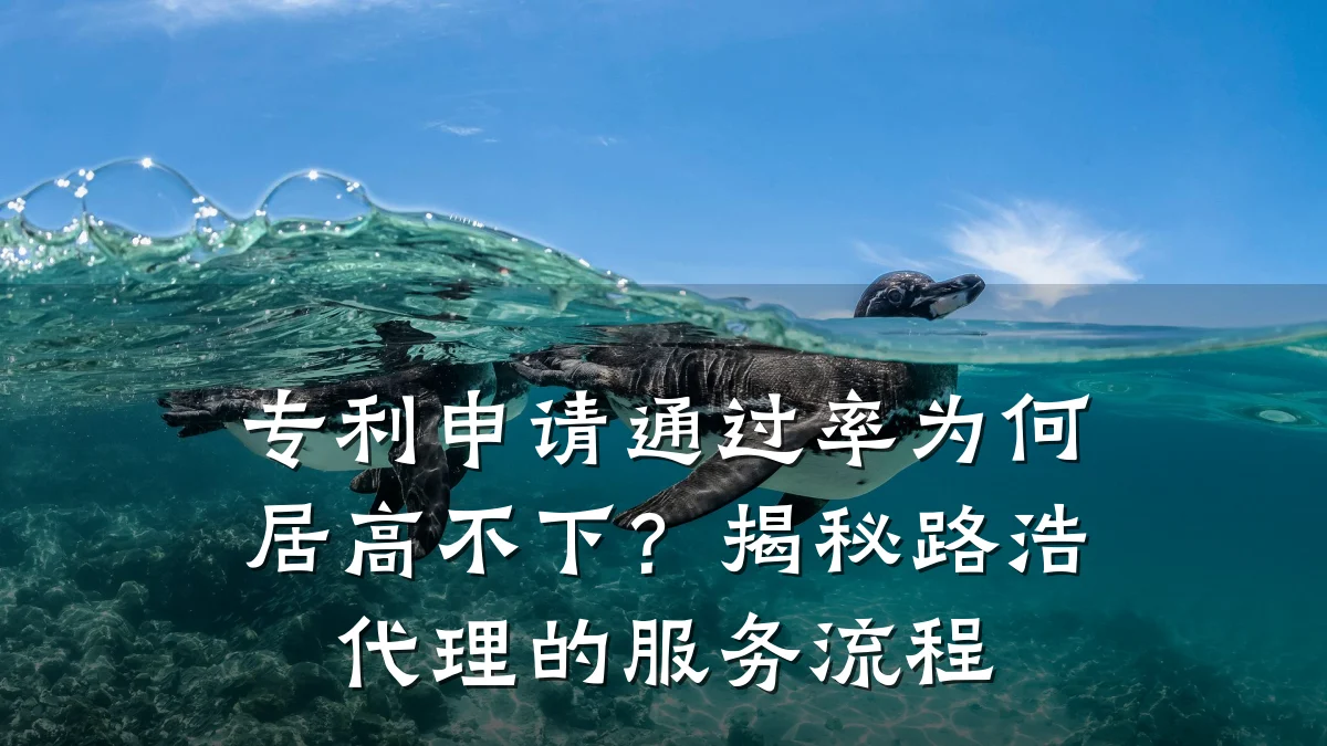 专利申请通过率为何居高不下？揭秘路浩代理的服务流程