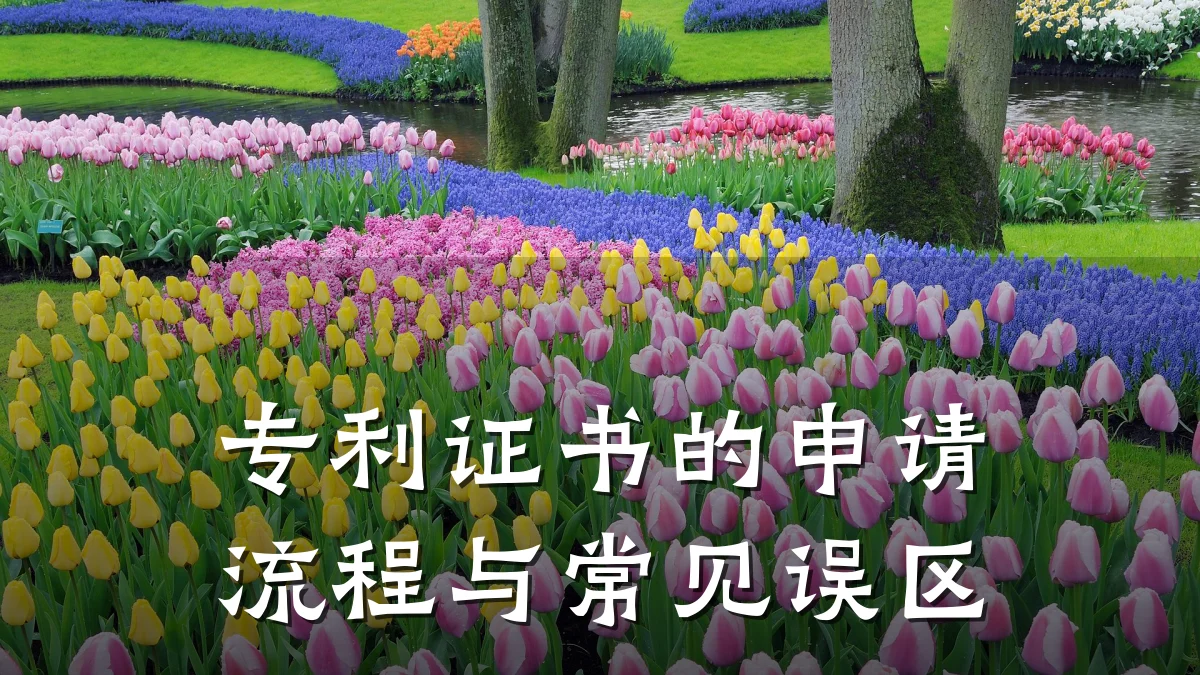 专利证书的申请流程与常见误区