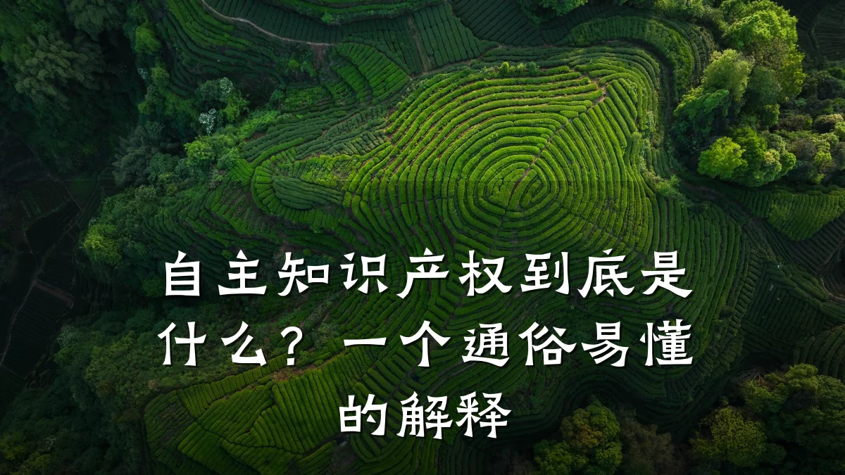 自主知识产权到底是什么？一个通俗易懂的解释