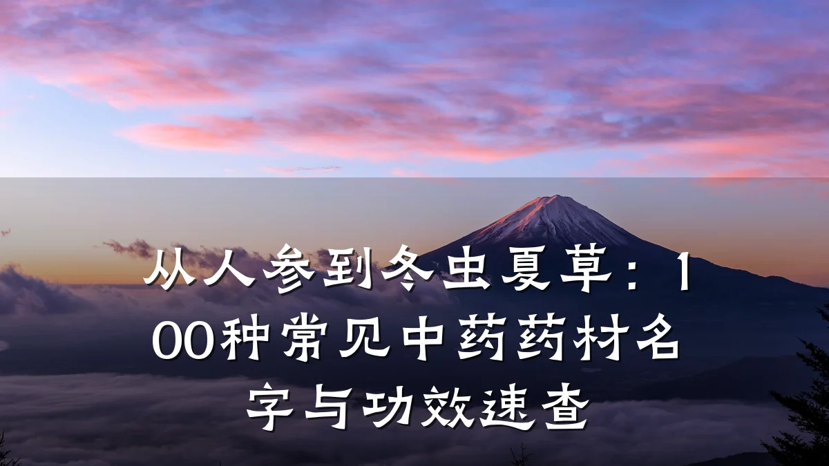 从人参到冬虫夏草:100种常见中药药材名字与功效速查