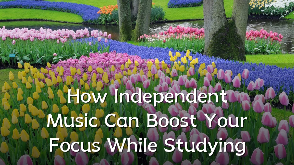 How Independent Music Can Boost Your Focus While Studying